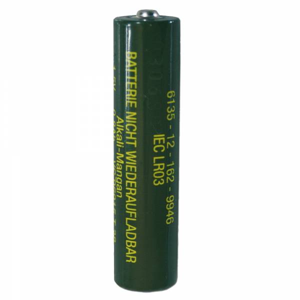 Batterie BW Micro (AAA)