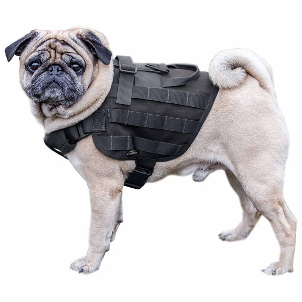 Primal Gear Hundegeschirr Light Dog Harness schwarz (Größe XL)