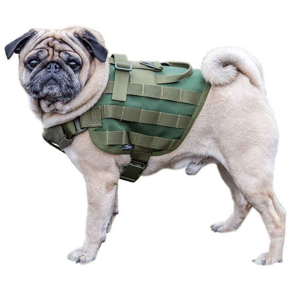 Primal Gear Hundegeschirr Light Dog Harness oliv (Größe XL)