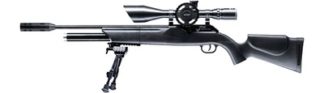 Luftgewehr 1250 Dominator FT Set