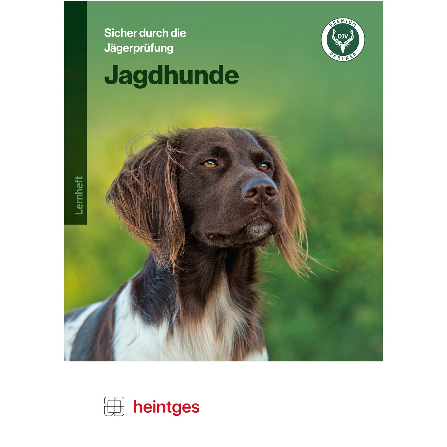 Heintges Sicher durch die Jägerprüfung – Jagdhunde Jagdhunde