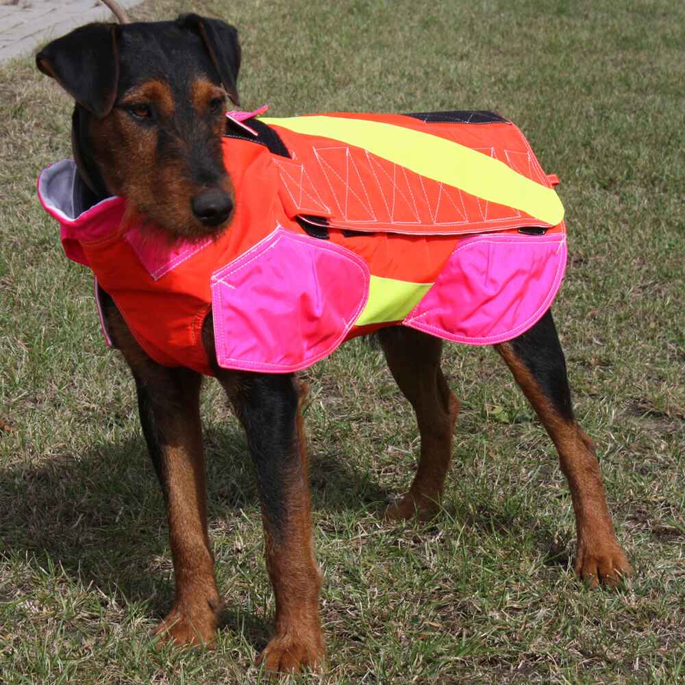 Out Dog Standard Rüde – Modellansicht von links
